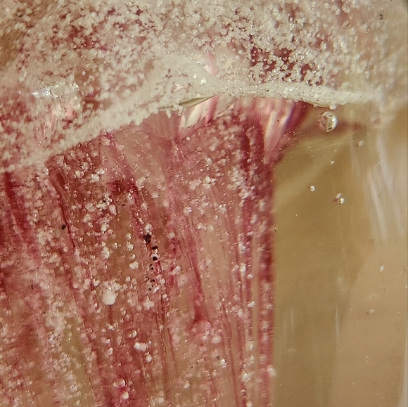 Jellyfish Glass Paperweight Decoration - Picture 9 of 16